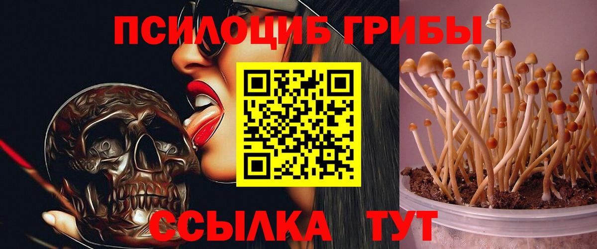 Псилоцибиновые грибы MAGIC MUSHROOMS Кингисепп