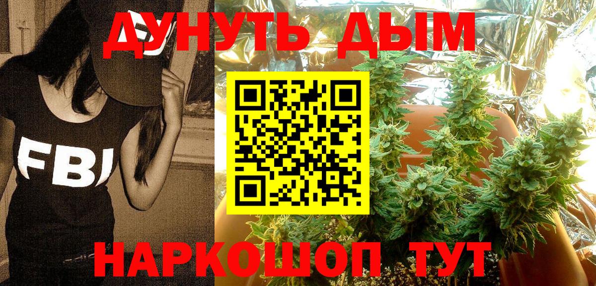Каннабис семена  Шишки марихуана сатива  Вход с VPN  Бошки марихуана SATIVA & INDICA  Кингисепп  Шишки марихуана THC 21% 
